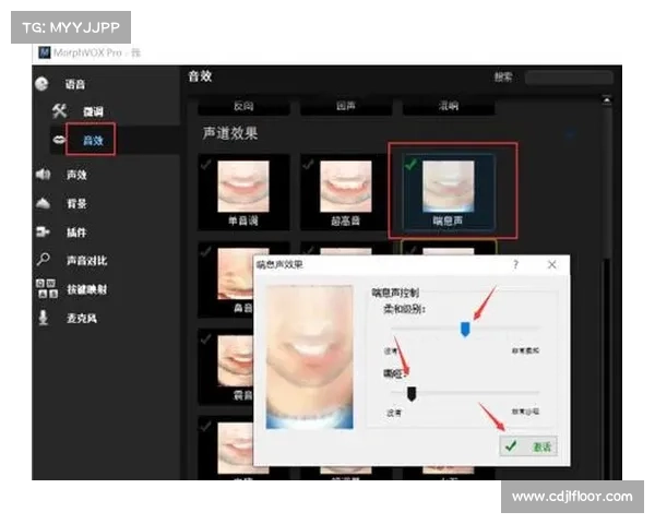 掌握MorphVox Pro的十大技巧与窍门助你轻松改变声音效果 掌握MorphVox Pro的十大技巧与窍门助你轻松改变声音效果