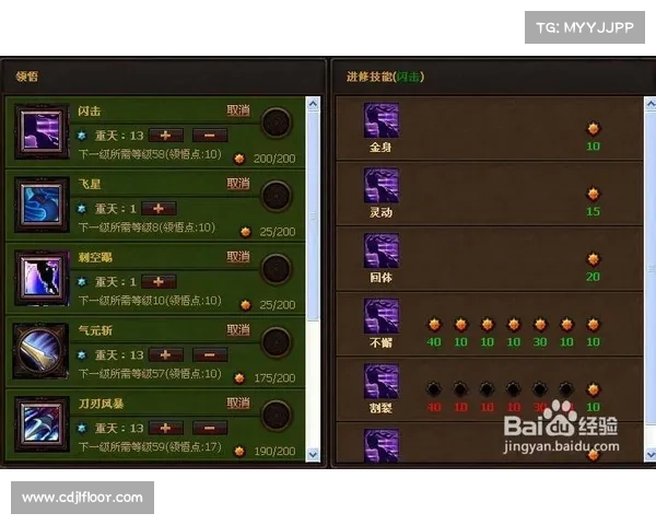 斗战神龙女刺客最新加点攻略全面解析助你快速提升战斗力