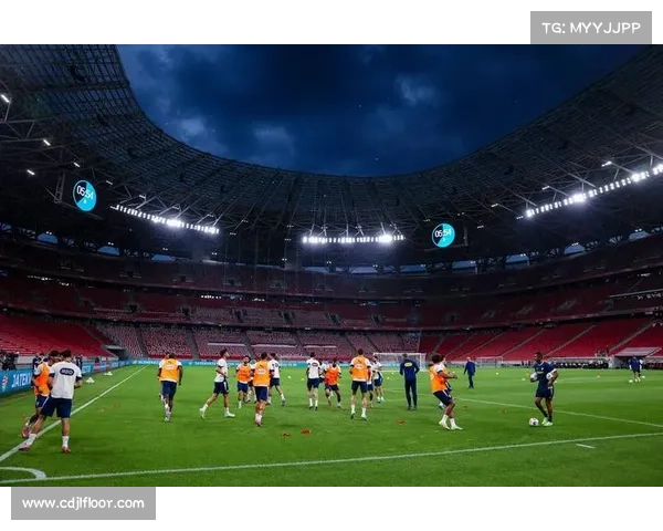 全方位全面解析如何高效查找葡萄牙足球球队名称实用方法与技巧指